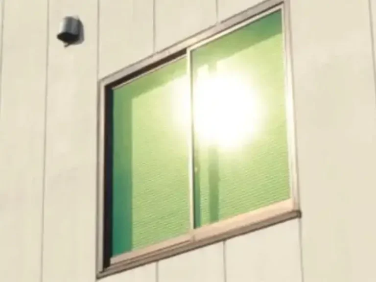 2 (11)